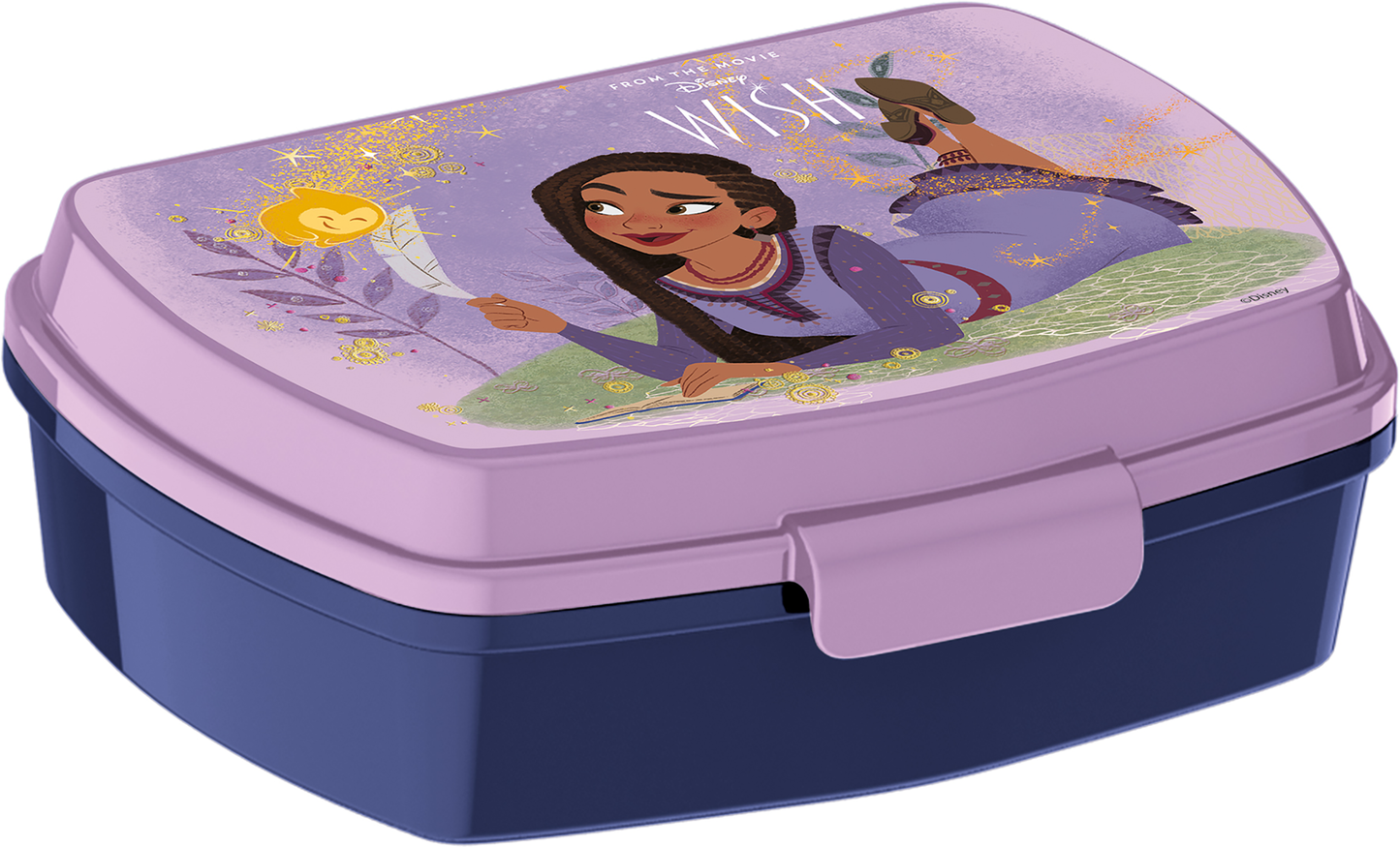 Disney Wish "Funny" lunch box