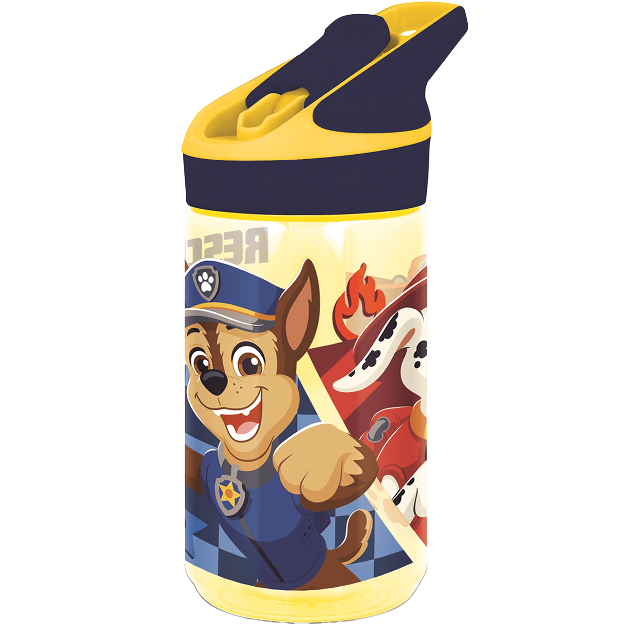 PAW PATROL Ecozen water bottle, 480ml