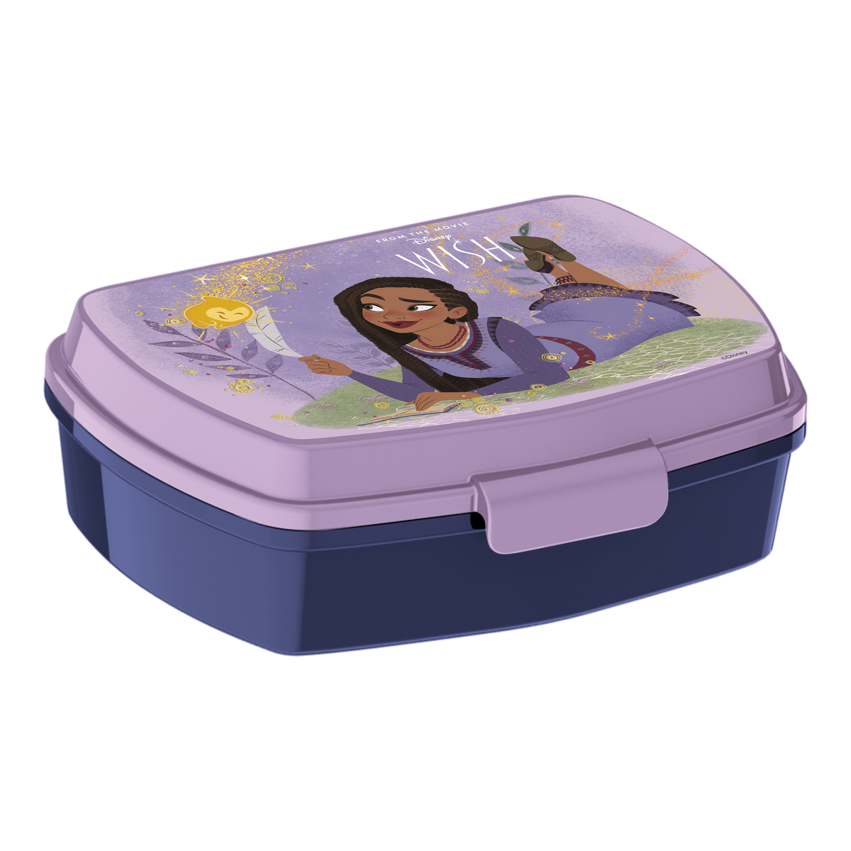 Disney Wish "Funny" lunch box