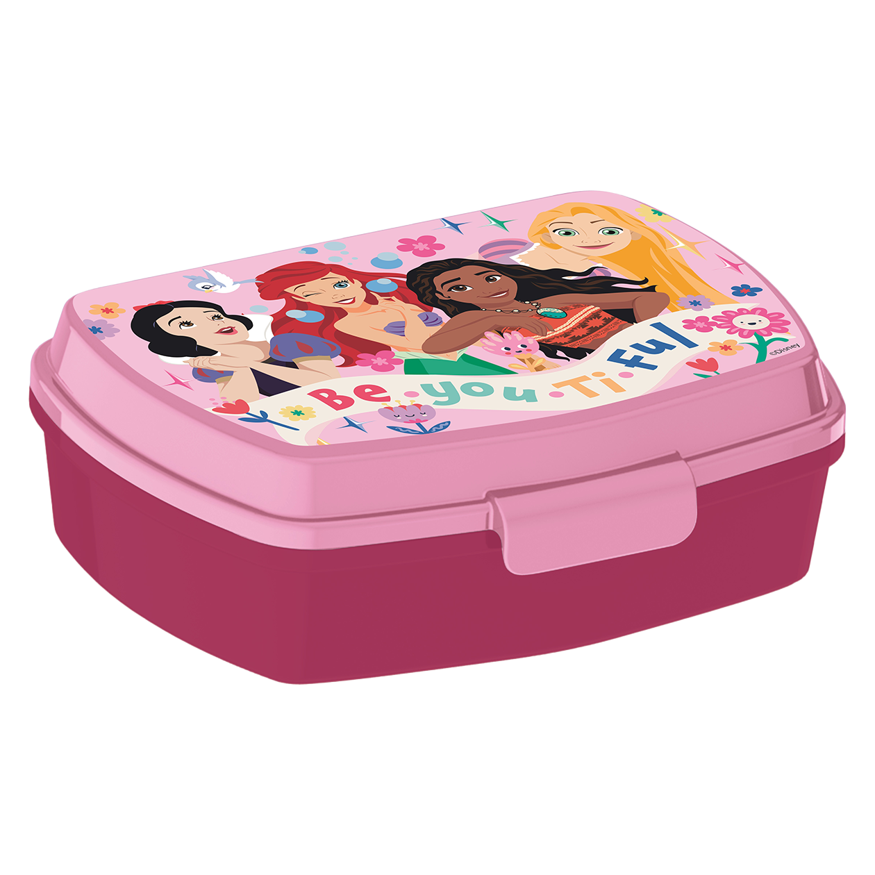 DISNEY PRINCESS funny sandwich box