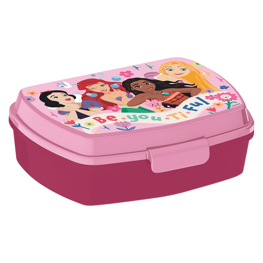 DISNEY PRINCESS funny sandwich box